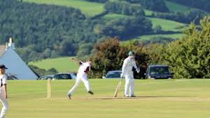 Image result for Yelverton Bohemians Cricket Club