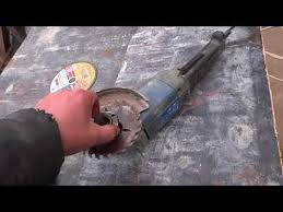 Картинки по запросу белку зажевало в диск