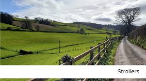 Image result for U3A Cynon Valley Scrabble Club