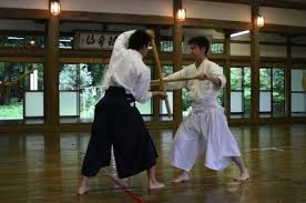 Image result for Kyoku Kenjutsu Kai