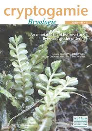 Attēlu rezultāti vaicājumam “Isopaches bicrenatus”