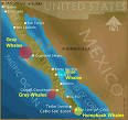 Baja California Mexico - Travel and Hotels Information