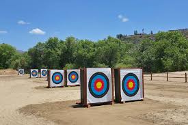 Image result for Lyme Valley Archers