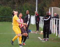 Image result for Banstead Athletic Fc