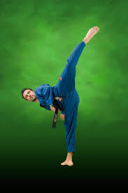 Image result for Elite Force Martial Arts
