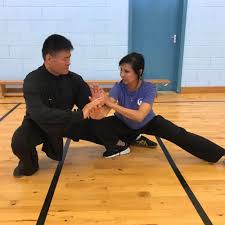 Image result for Farnham Kung Fu Club