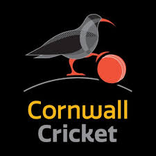 Image result for St Buryan Cc