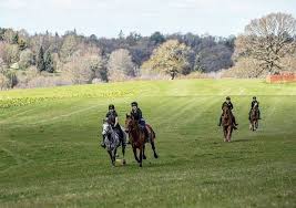 Image result for Civil Service Riding Club (Csrc)