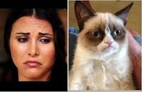 Nick Viall - Bachelorette 10 -  Discussion - Thread #6 - Page 22 Andi-and-grumpy-cat