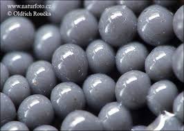 Attēlu rezultāti vaicājumam “Cribraria argillacea macro”