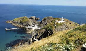Image result for Ilfracombe & N Devon