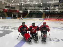 Image result for Cardiff Comets Ladies Ice Hockey