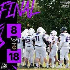 Image result for Ipswich Cardinals American Football Club