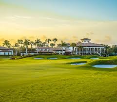 Image result for The Combe Martin Institute Club