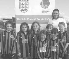 Image result for Hatfield Peverel Bowling Club