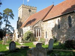 Image result for Hellingly Cricket Club