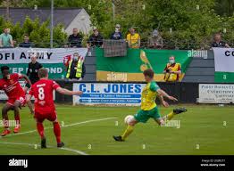 Image result for Caernarfon Football Club