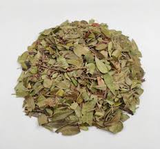 Attēlu rezultāti vaicājumam “Arctostaphylos uva-ursi fruit”