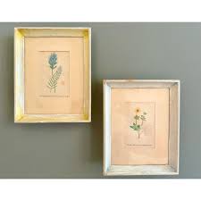 Image result for Thaddus Haenke