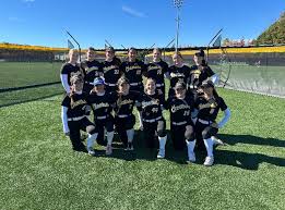 Image result for Cheetahs Softball Team
