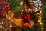 Vegan Epicurean: Christmas Day and the Day After