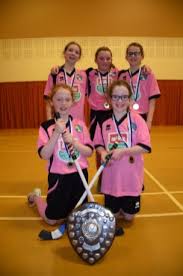 Image result for Lochcarron Camanachd
