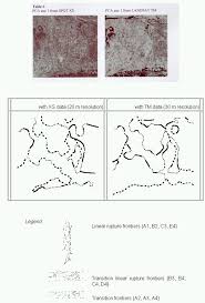 Image result for geografs sense fronteres