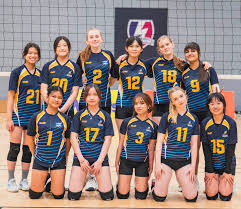 Image result for Nottingham Rockets Sitting Volleyball