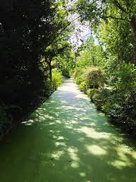 Image result for Arboretum Trompenburg