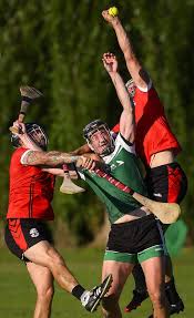 Image result for hurling