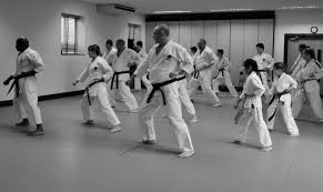 Image result for Eurokwai Shotokan Karate Club