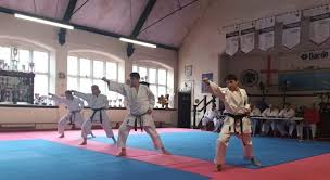 Image result for Bristol Karate Club