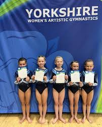 Image result for York University Gymnastics Club