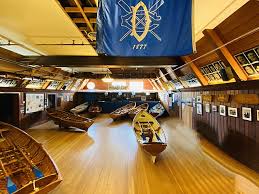 Image result for Dolphin Badminton Club