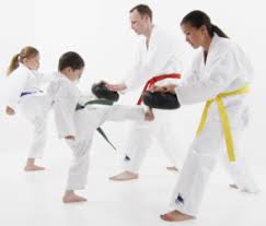 Image result for Bytomic Taekwondo