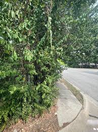 Image result for Woodmancote SMBC