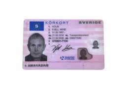 Αποτέλεσμα εικόνας για sweden id card