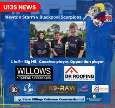 Image result for Newton - Le - Willows A R L F C