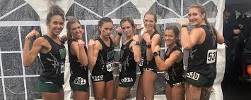 Image result for Beeches Netball Club