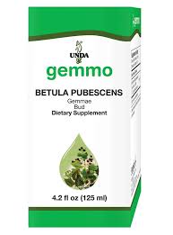 Attēlu rezultāti vaicājumam “Betula pubescens”