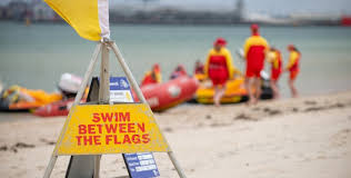 Image result for Survive & Save Swimming & Lifesaving Club