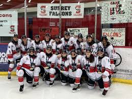 Image result for Mid Surrey Ladies Hockey Club