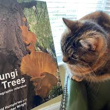 Attēlu rezultāti vaicājumam “Erinaceus sp.”