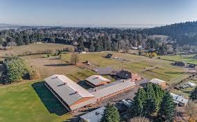 Image result for Weybridge Equestrian Centre