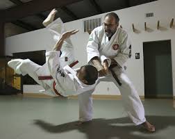 Image result for Kensei Karate Dojo