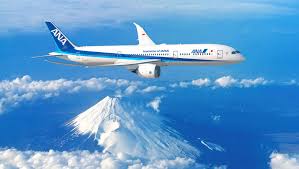 Image result for ana