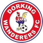 Image result for Dorking Football Club Limited