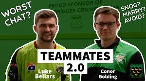 Image result for Three Bridges Cricket Club