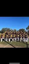 Image result for Lions Softball Club