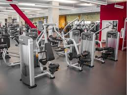 Image result for South Western Gymnastics Club